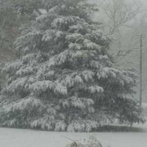 Meet your Posher, Gayle